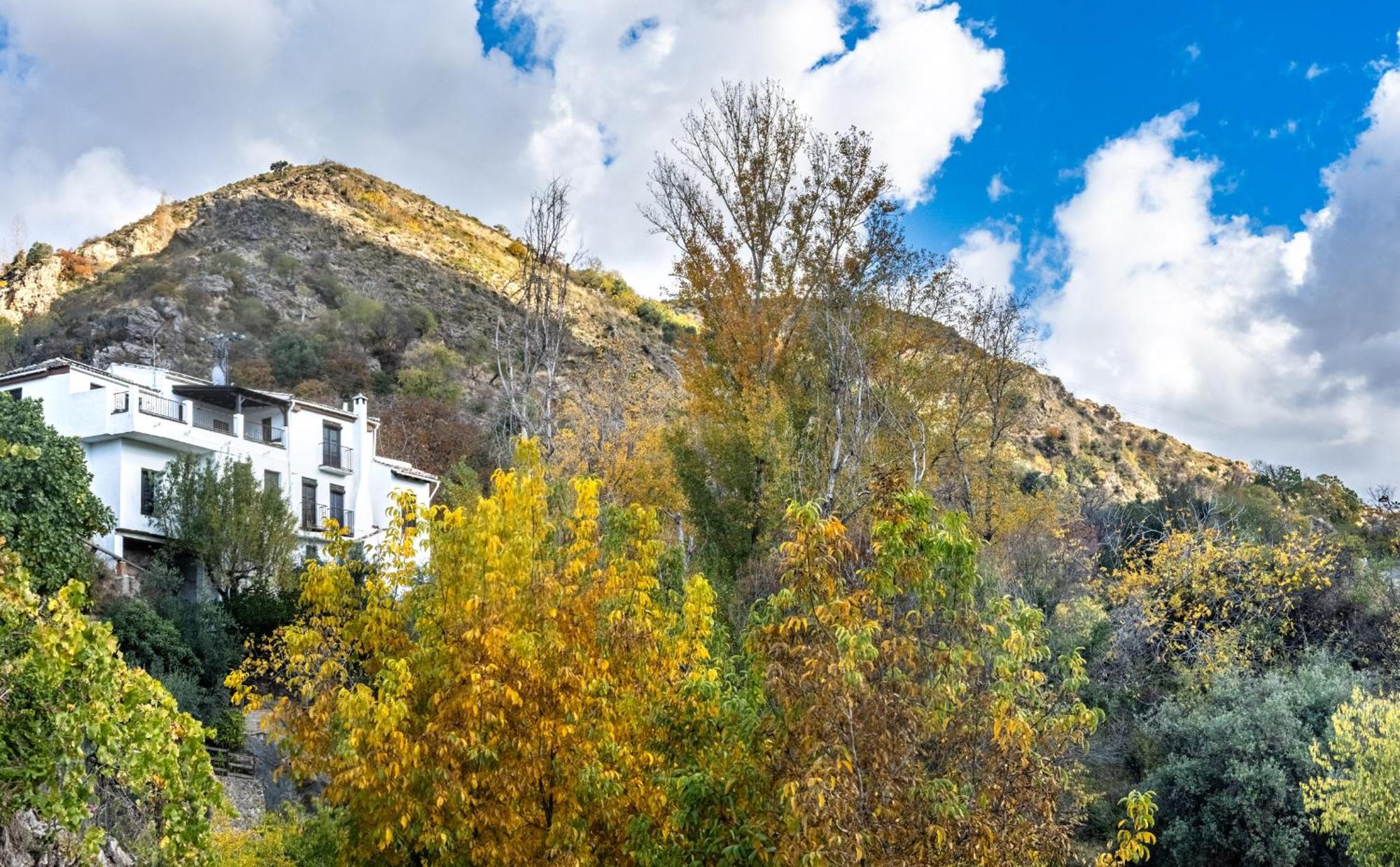 Casa Rural Arroyo De La Greda Guejar-Sierra Εξωτερικό φωτογραφία