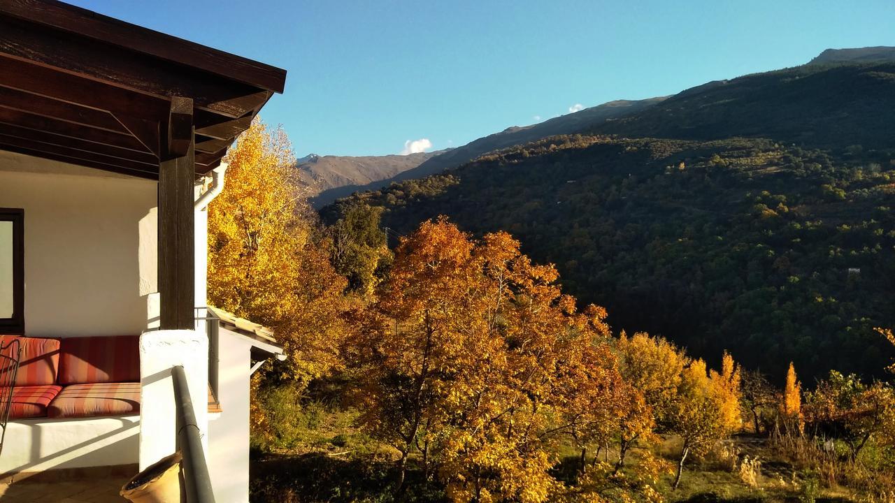 Casa Rural Arroyo De La Greda Guejar-Sierra Εξωτερικό φωτογραφία