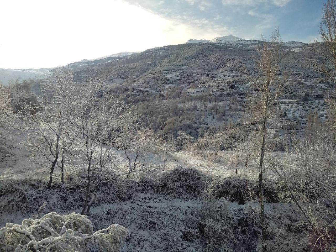 Casa Rural Arroyo De La Greda Guejar-Sierra Εξωτερικό φωτογραφία